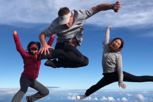 Maui: Ganztagestour nach Hana mit Snacks und Getränken