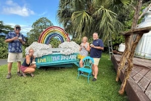 Maui: Ganztagestour nach Hana mit Snacks und Getränken