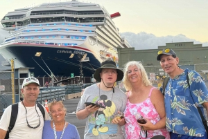 Maui: Ganztagestour nach Hana mit Snacks und Getränken