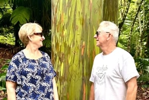 マウイ島：軽食とドリンク付きのハナ 1 日ツアー