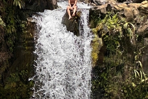 マウイ島：軽食とドリンク付きのハナ 1 日ツアー