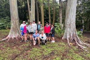 マウイ島：軽食とドリンク付きのハナ 1 日ツアー