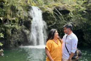 マウイ島：軽食とドリンク付きのハナ 1 日ツアー