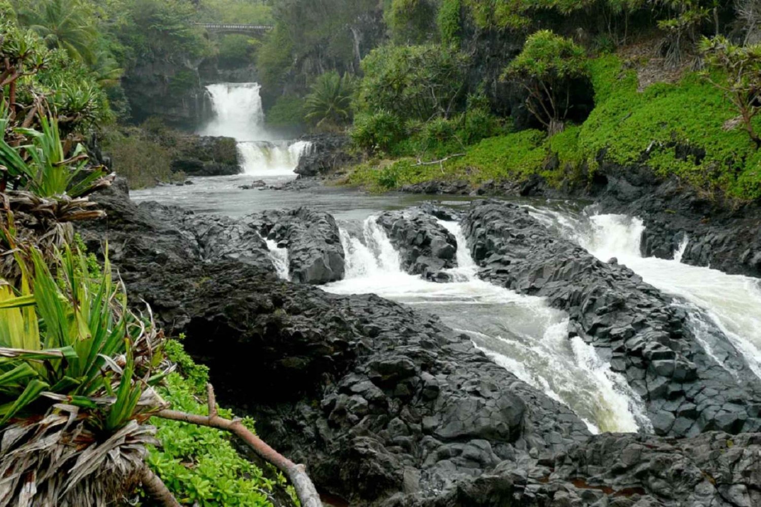 Maui: Excursión de senderismo de día completo con almuerzo