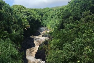 Tour panoramico di Maui Road to Hana