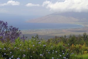 Maui: Getfarm, destilleri och glasblåsningstur med provsmakning