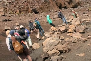 Maui: Excursión guiada al cráter de Haleakala con almuerzo