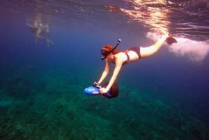 Мауи: тур с подводным плаванием на морском скутере с гидом
