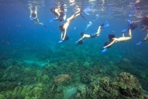 Maui: Wycieczka z przewodnikiem na skuterach wodnych
