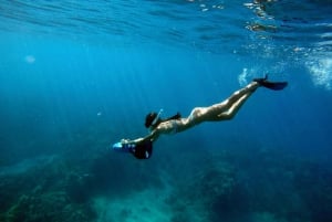 Maui : Visite guidée en scooter des mers avec plongée en apnée