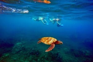 Maui: Guidet snorkeltur med søscooter