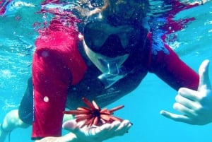 Maui: Guidet snorkeltur for begyndere med flydevåddragt