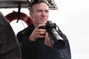 Maui: Guidet hvalsafari på øko-flåde