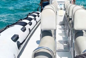 Maui: Guidet hvalsafari på øko-flåde