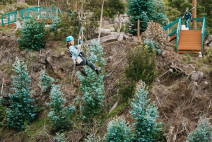 Maui: Haleakala 6-lijns Zipline Avontuur