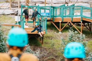 Maui: Haleakala 6-lijns Zipline Avontuur