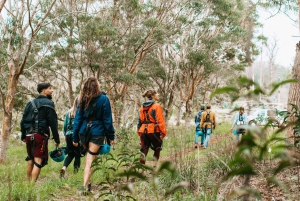 Maui: Haleakala 6-lijns Zipline Avontuur