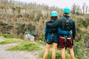 Maui: Haleakala 6-lijns Zipline Avontuur