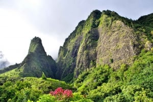 Maui: Tur til Haleakala og Ia'o-dalen