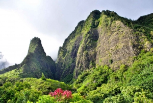 Maui: Haleakala, Ia'o Valley & Central Maui Tour