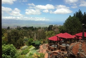Maui: Wycieczka o wschodzie słońca do Parku Narodowego Haleakala