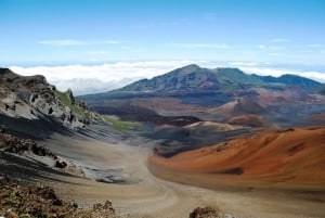 Maui: Haleakala Sunrise Tour ja nouto