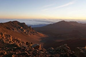 Maui: Haleakala Sunrise Tour ja nouto