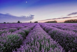 Maui: Passeio de estilingue Polaris no cume do vulcão Haleakala