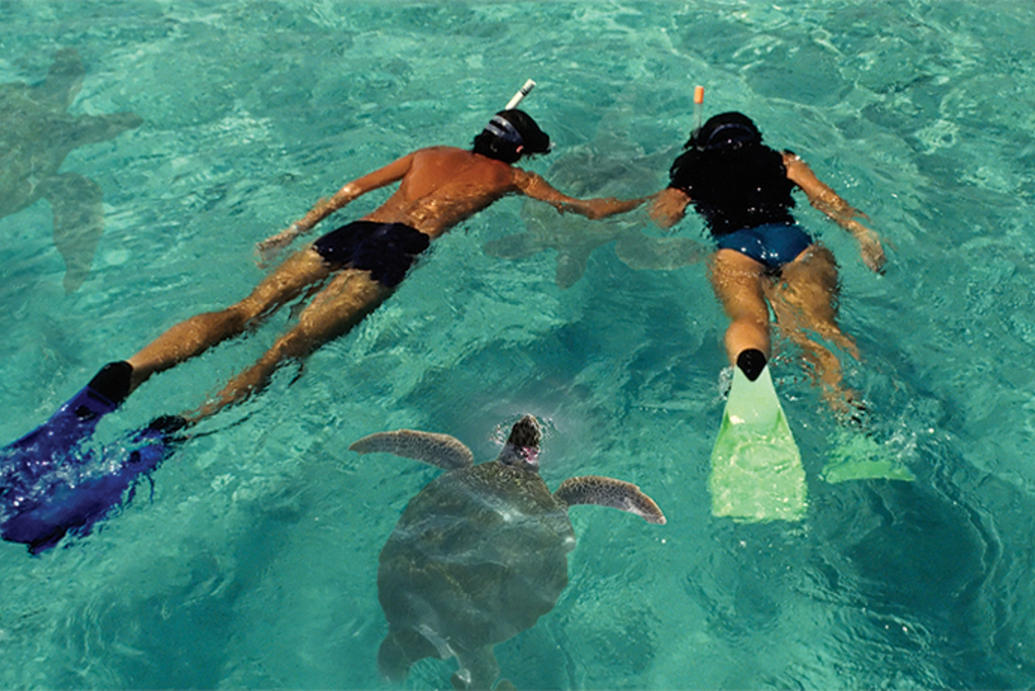 lanai snorkeling tours from maui