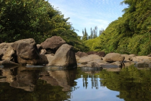 Maui: Sightseeing & Photography Tour along the road to Hana