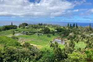 Maui: Sightseeing & Photography Tour along the road to Hana
