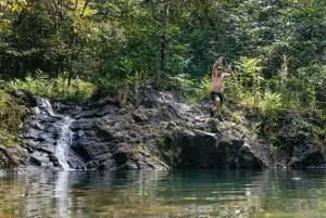 Maui: Escursione alle cascate della foresta pluviale con pranzo a picnic