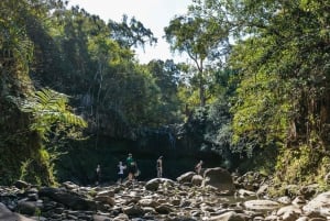 Maui: Fottur til regnskogens fossefall med pikniklunsj