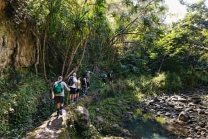 Maui: Caminata a las Cascadas de la Selva Tropical con Comida de Picnic