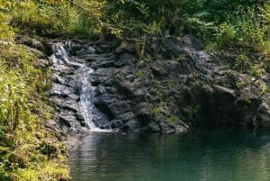 Maui: Fottur til regnskogens fossefall med pikniklunsj