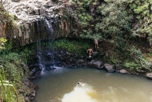 Maui: Wandeling naar de regenwoudwatervallen met picknicklunch