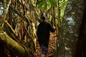 Maui: Wycieczka informacyjna Honolua Ridgeline