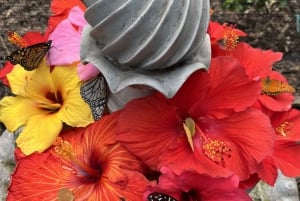 Maui: billet d'entrée interactif à la ferme aux papillons