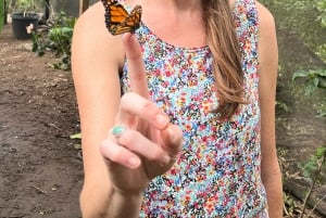 Maui: billet d'entrée interactif à la ferme aux papillons