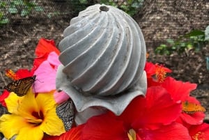 Maui: billet d'entrée interactif à la ferme aux papillons