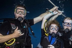 Maui : Initiation à la plongée sous-marine à partir du rivage - Lahaina