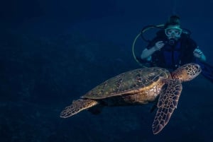 Maui : Initiation à la plongée sous-marine à partir du rivage - Lahaina