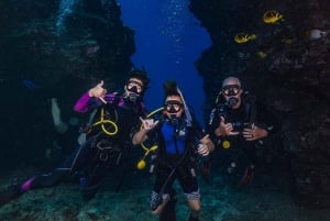 Maui : Initiation à la plongée sous-marine à partir du rivage - Lahaina