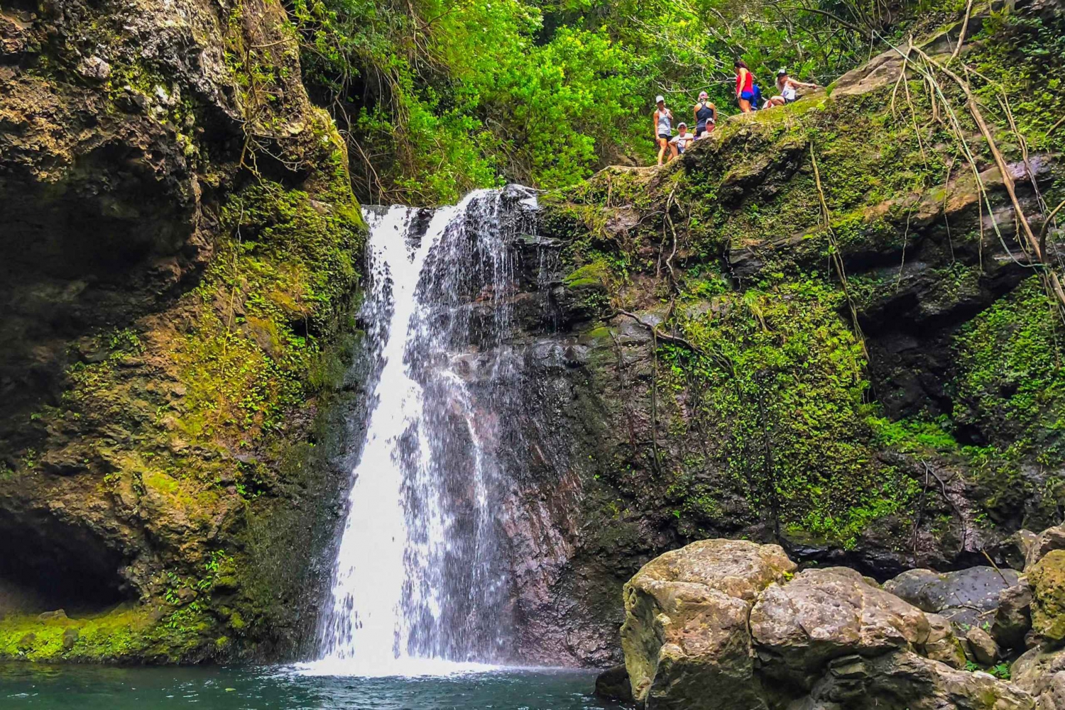 Maui: Jungle and Waterfall Hiking Adventure