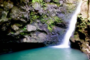 Maui: Jungle and Waterfall Hiking Adventure