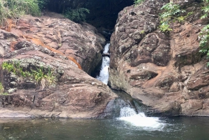 Maui: Jungle and Waterfall Hiking Adventure