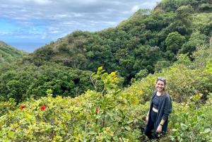 Maui: Jungle and Waterfall Hiking Adventure