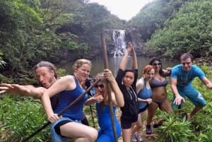 Maui: Jungle Waterfall Adventure