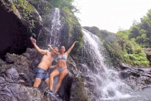Maui: Jungle Waterfall Adventure