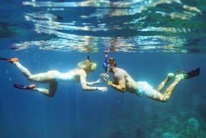 Maui: Kaanapali Beach 4-hour Snorkel w/ BBQ Lunch & Open Bar